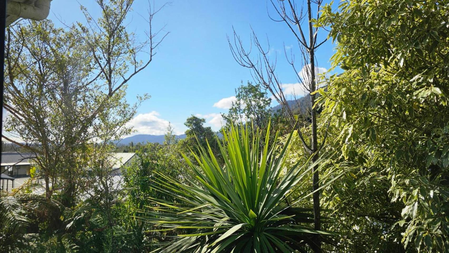 Wild Kea Lodge Franz Josef Εξωτερικό φωτογραφία